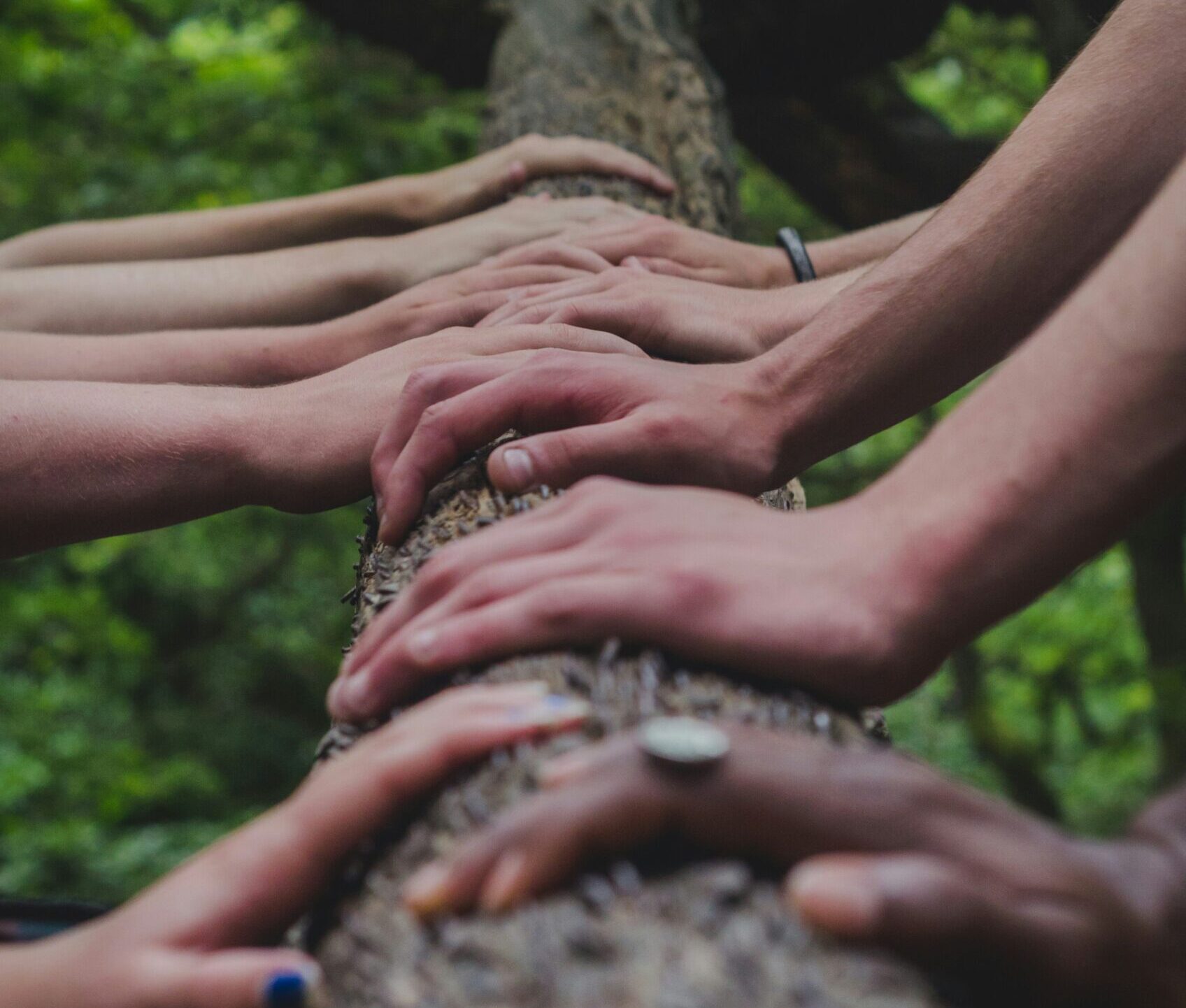 shane-rounce-DNkoNXQti3c-unsplash